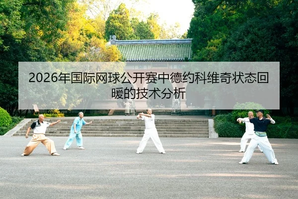 nian-guo-ji-wang-qiu-gong-kai-sai-zhong-de-yue-ke-wei-qi-zhuang-tai-hui-nuan-de-ji-shu-fen-xi-2-316.jpg