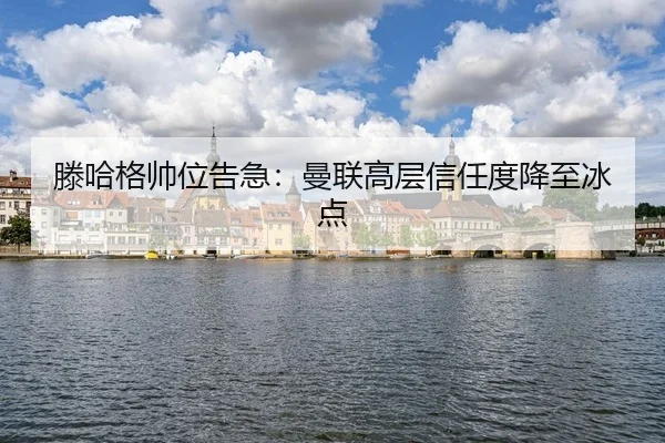 teng-ha-ge-shuai-wei-gao-ji-man-lian-gao-ceng-xin-ren-du-jiang-zhi-bing-dian-3-771.jpg