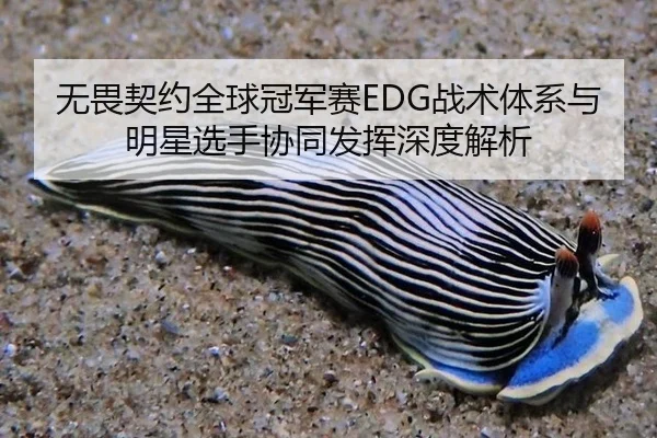 wu-wei-qi-yue-quan-qiu-guan-jun-sai-zhan-shu-ti-xi-yu-ming-xing-xuan-shou-xie-tong-fa-hui-shen-du-jie-xi-3-981.jpg